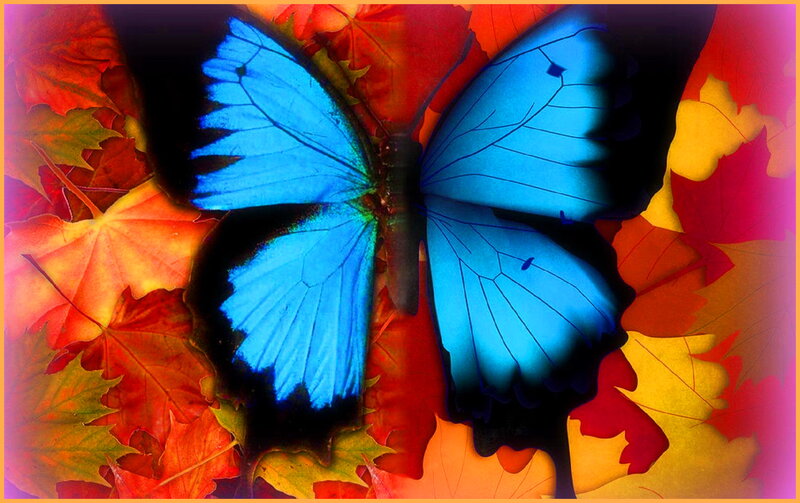 Blue Butterfly on Leaves — Vibrant, Autumn