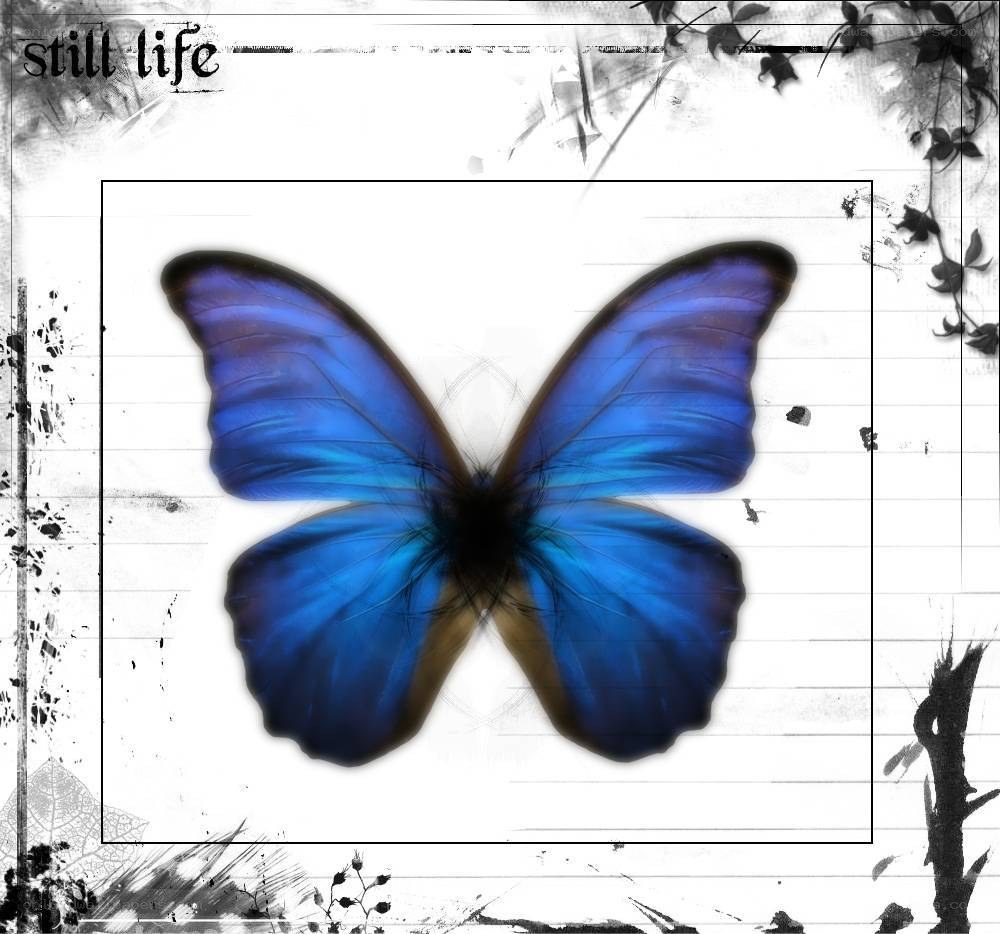 blue butterfly on lined paper