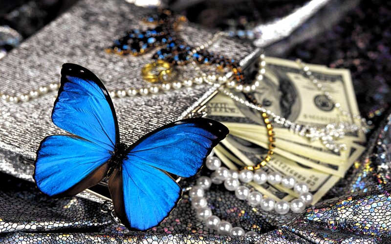Blue Butterfly on Money — Dramatic