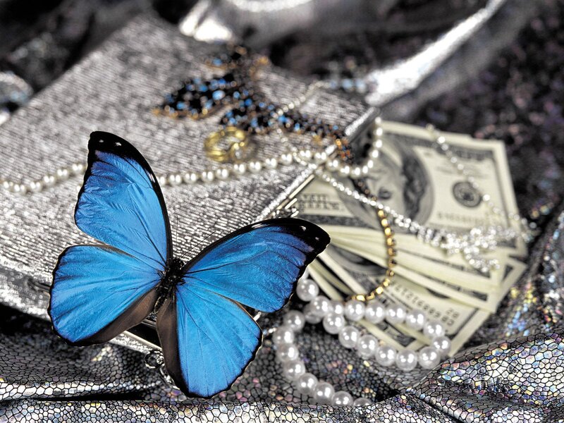 Blue Butterfly on Money