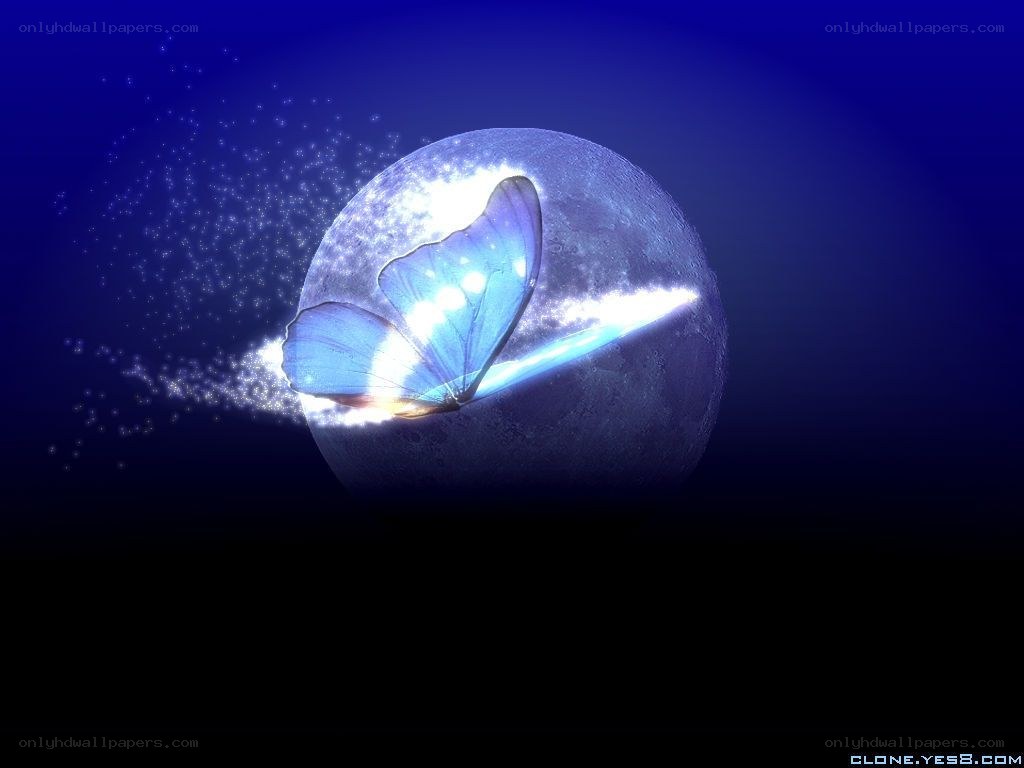 Blue butterfly on moon