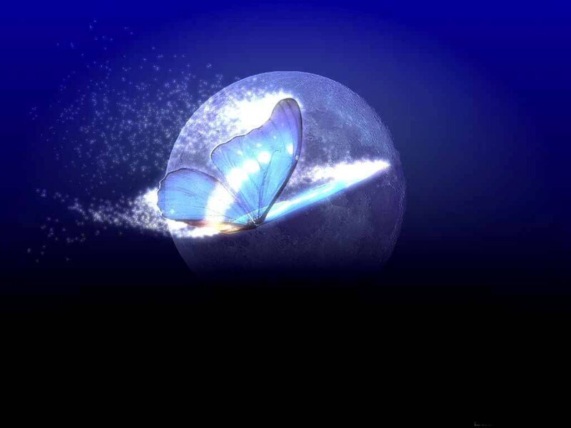 Blue Butterfly on Moon — Dreamy, Night
