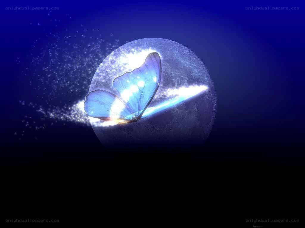 blue butterfly on moon