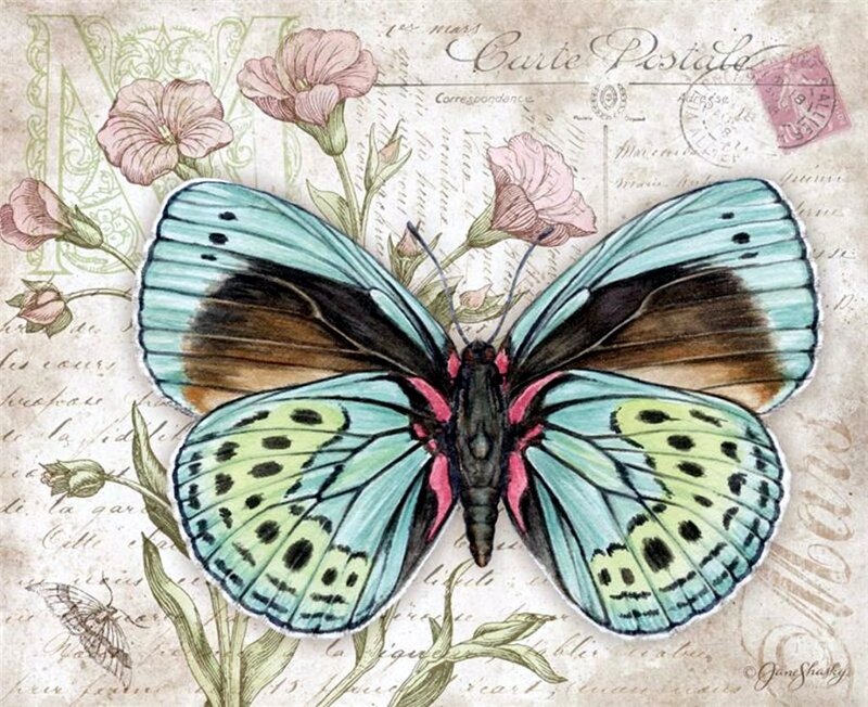 Blue Butterfly on Postcard