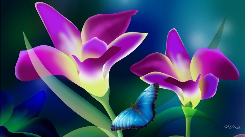 Blue Butterfly on Purple Flowers — Serene