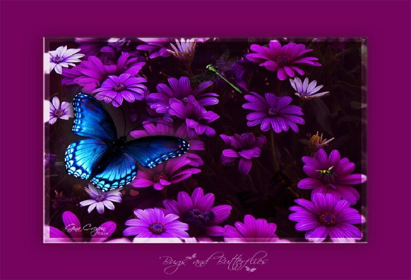 Blue Butterfly on Purple Flowers — Vibrant