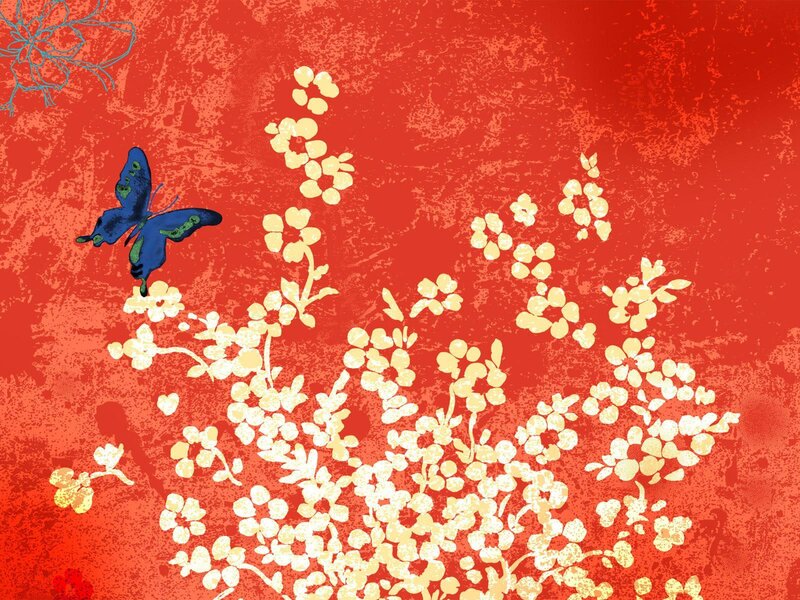 blue butterfly on red background