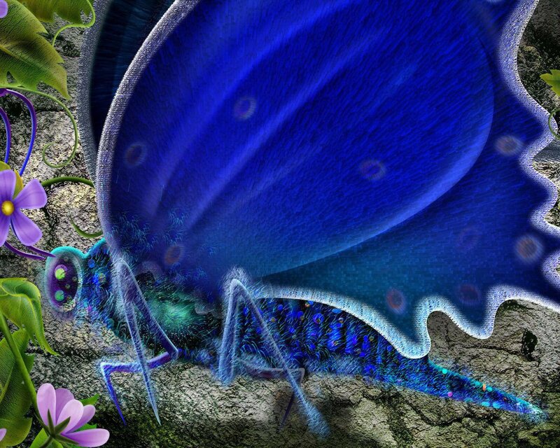 Blue Butterfly on Rock — Fantastical