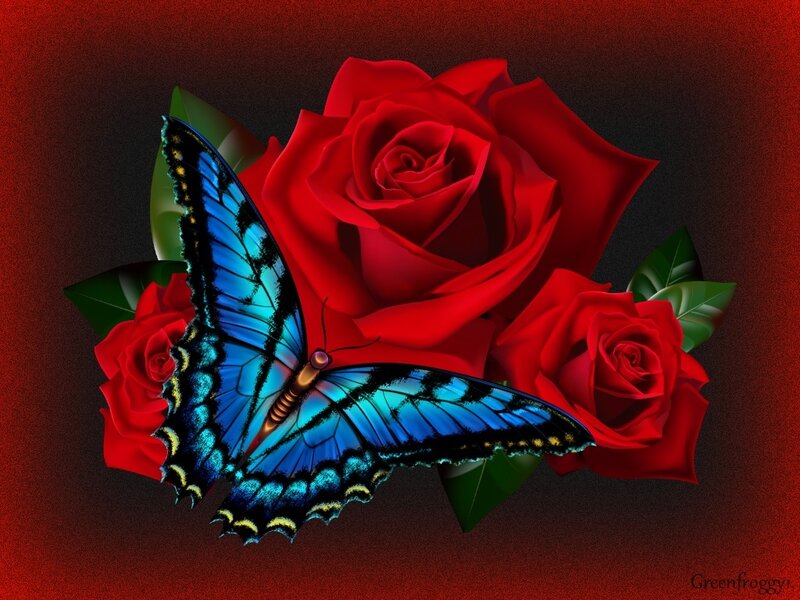 Blue Butterfly on Roses