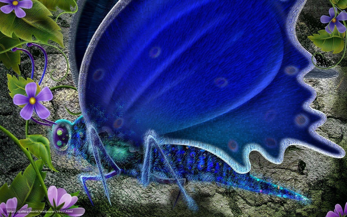 Blue butterfly on stone