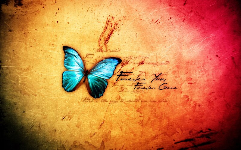 Blue Butterfly on Textured Background — Dramatic
