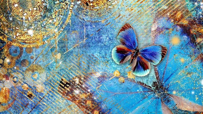 Blue Butterfly on Textured Surface