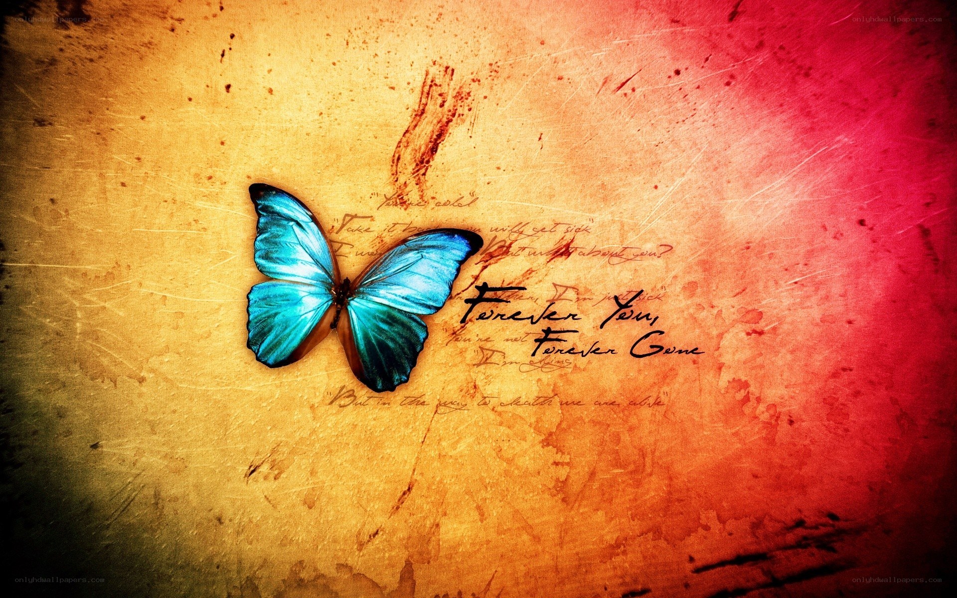 Blue butterfly on vintage background