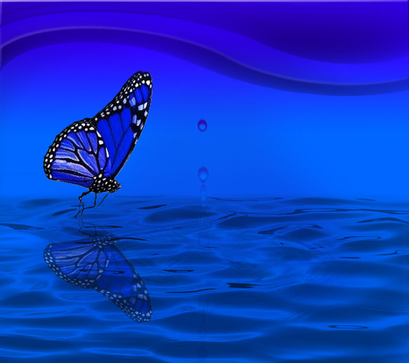 Blue Butterfly on Water — Serene