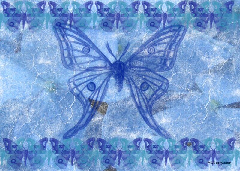 Blue butterfly pattern art