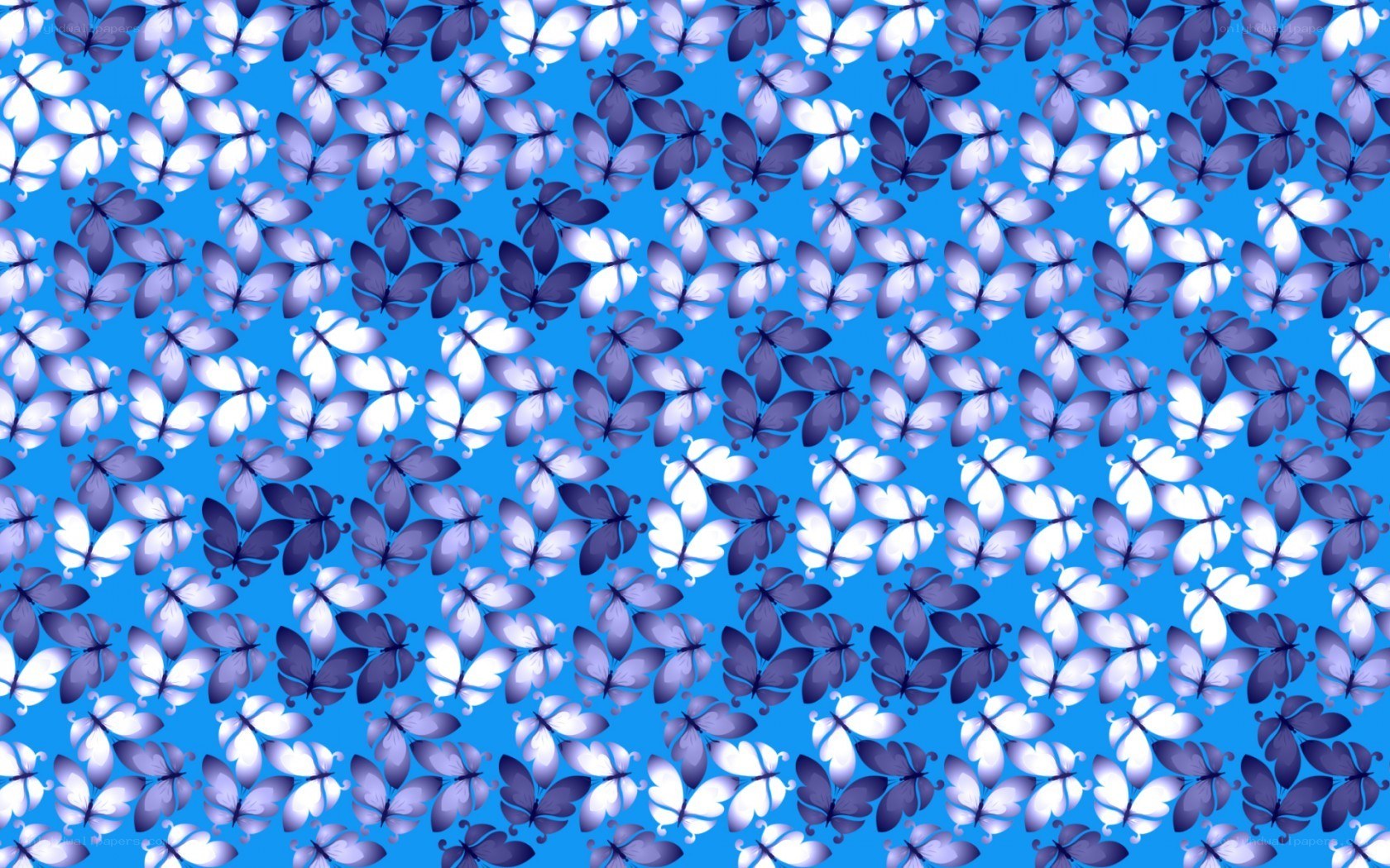 blue butterfly pattern
