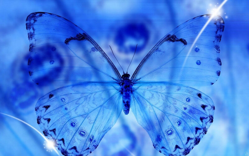 Blue Butterfly — Serene, Digital Art, Light Beams