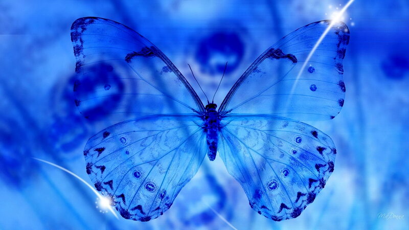Blue Butterfly — Serene, Digital Art, Sparkles, Background