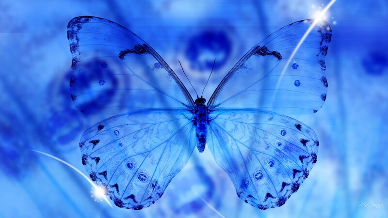 Blue Butterfly — Serene, Digital Art, Sparkles