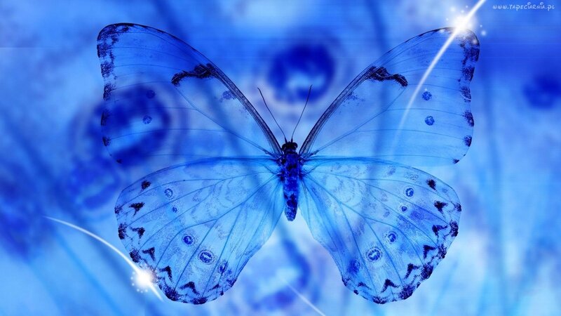 Blue Butterfly — Serene, Digital Art, Wings, Light Rays