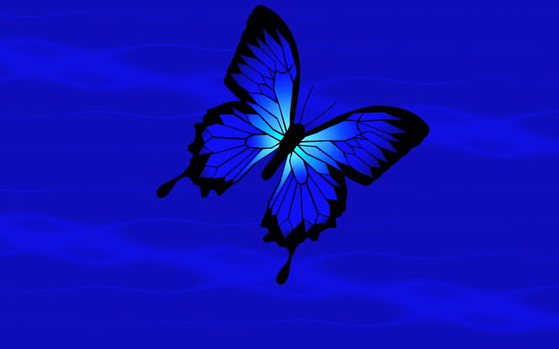 Blue Butterfly — Serene, Night
