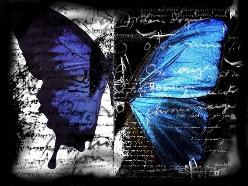 Blue Butterfly Silhouette — Mysterious