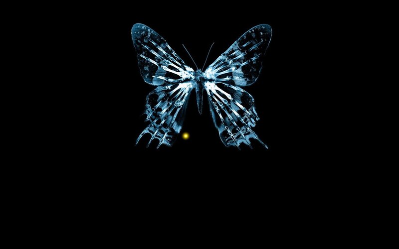 Blue Butterfly Skeleton