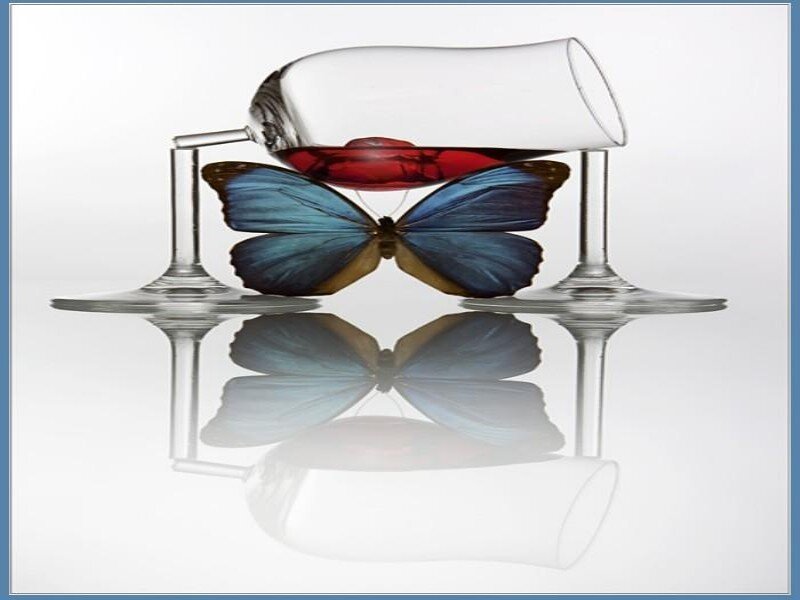 Blue Butterfly under Glass