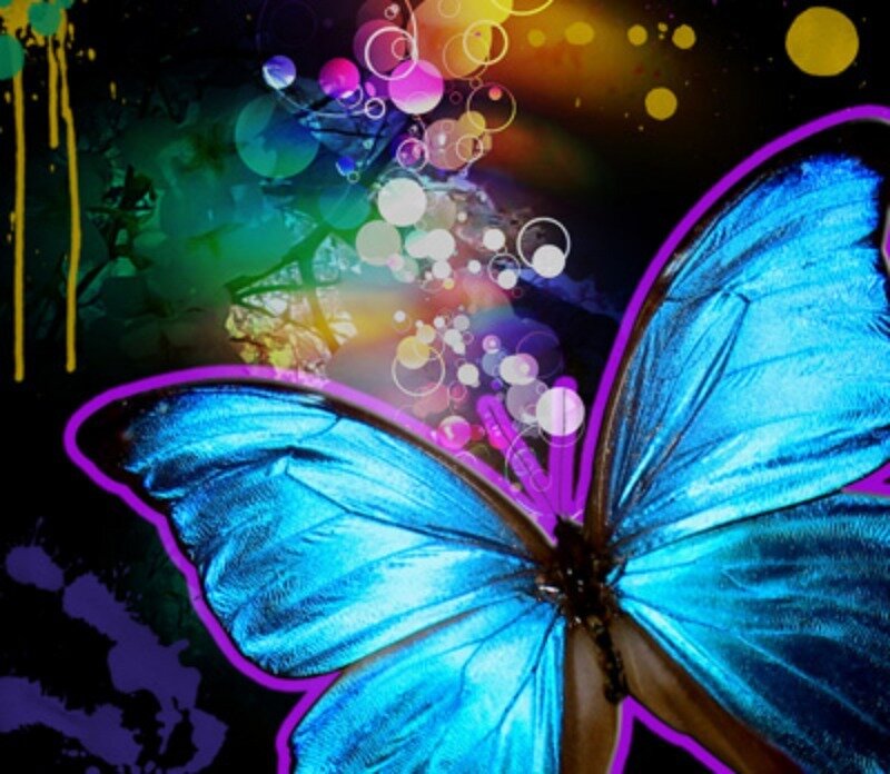 Blue Butterfly — Vibrant