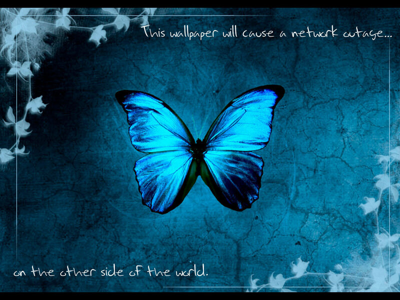 blue butterfly wallpaper