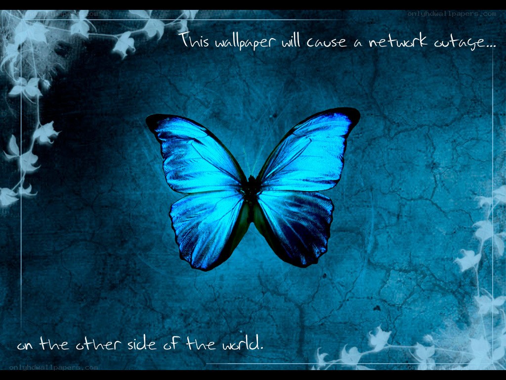 blue butterfly wallpaper