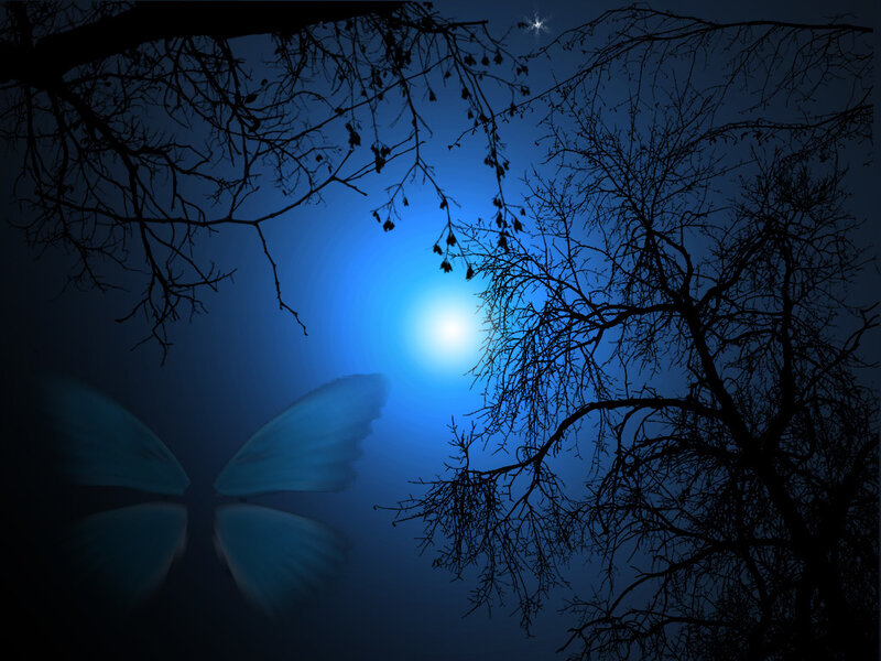 Blue Butterfly Wings
