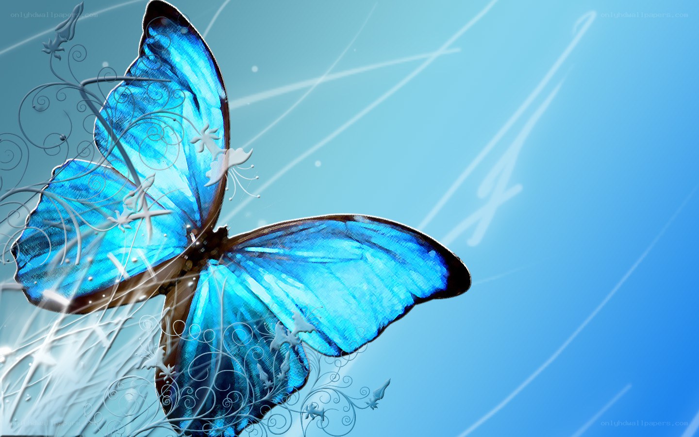 blue butterfly with floral design