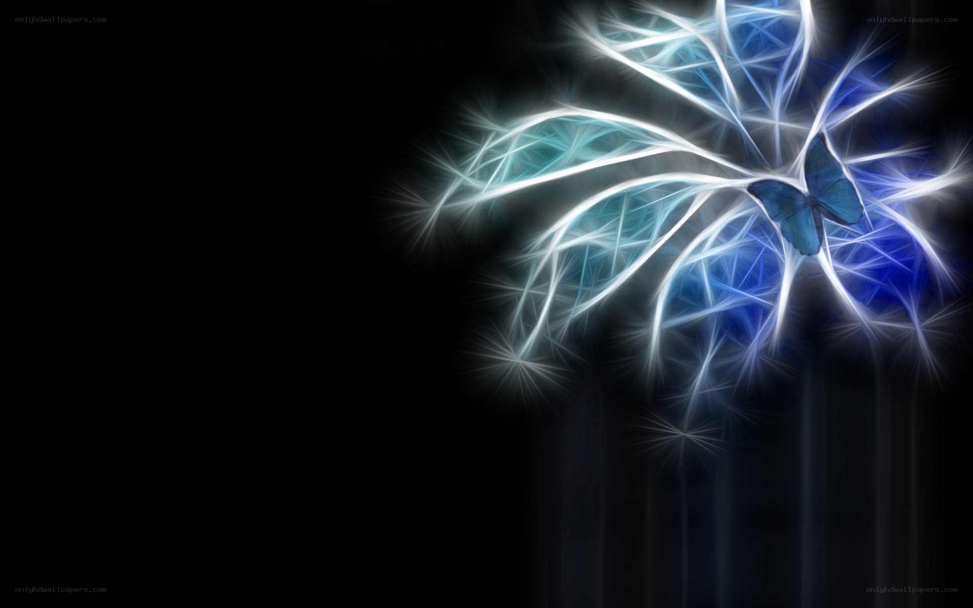 blue butterfly with glowing lines