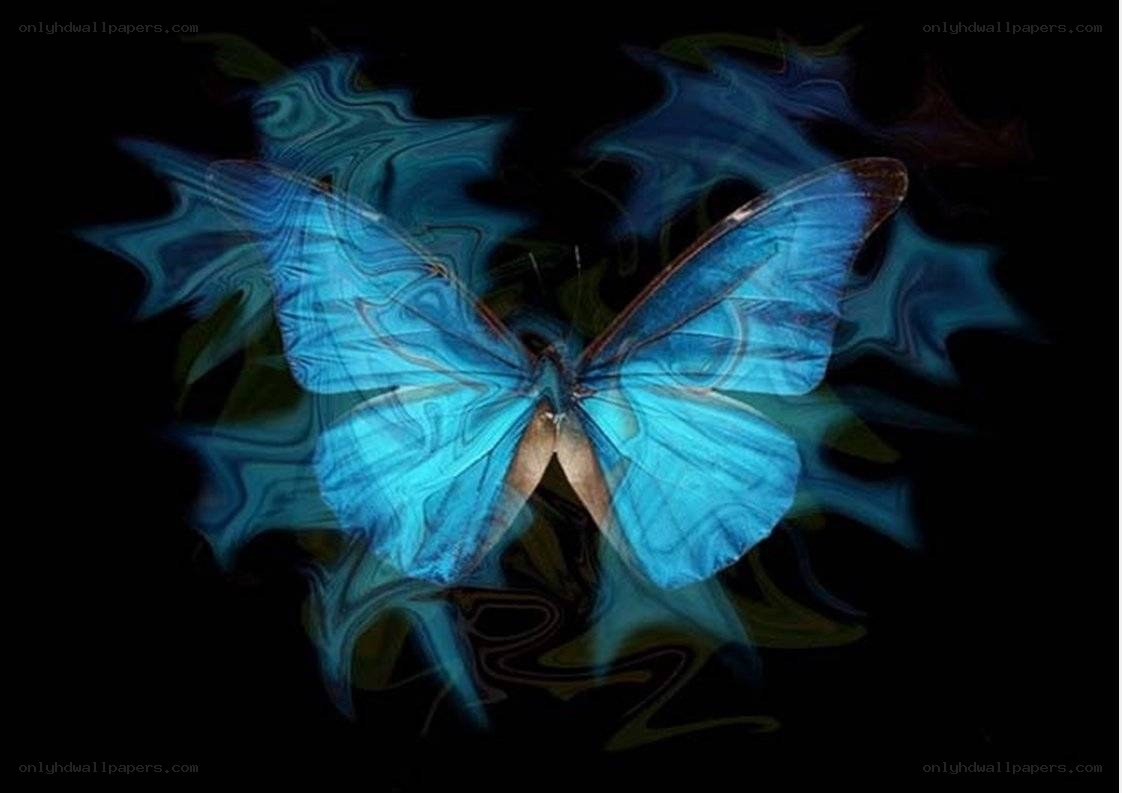 Blue butterfly with glowing wings