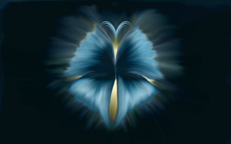 blue butterfly with light effect