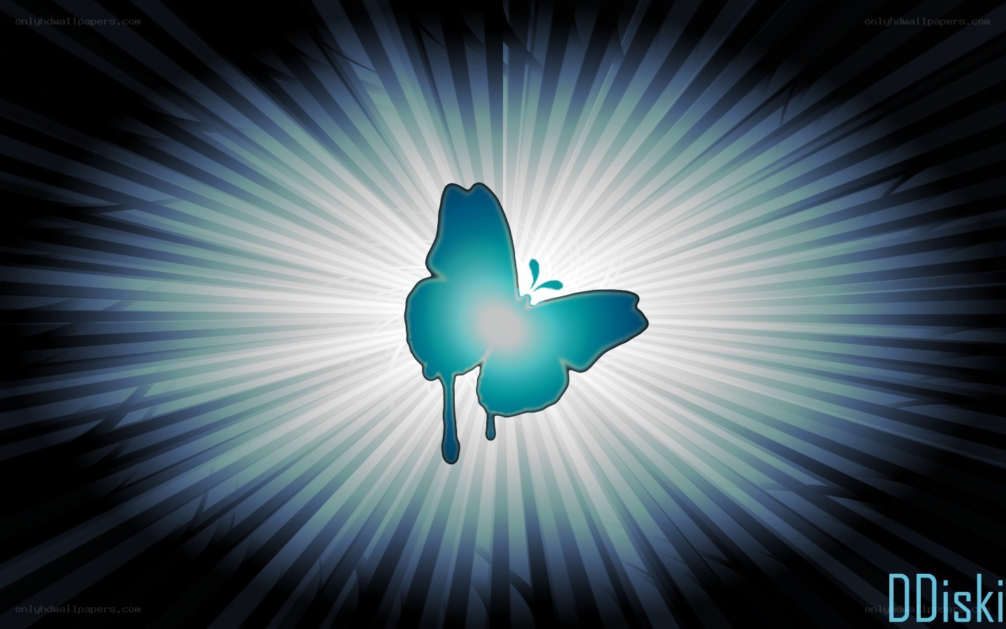 blue butterfly with light rays
