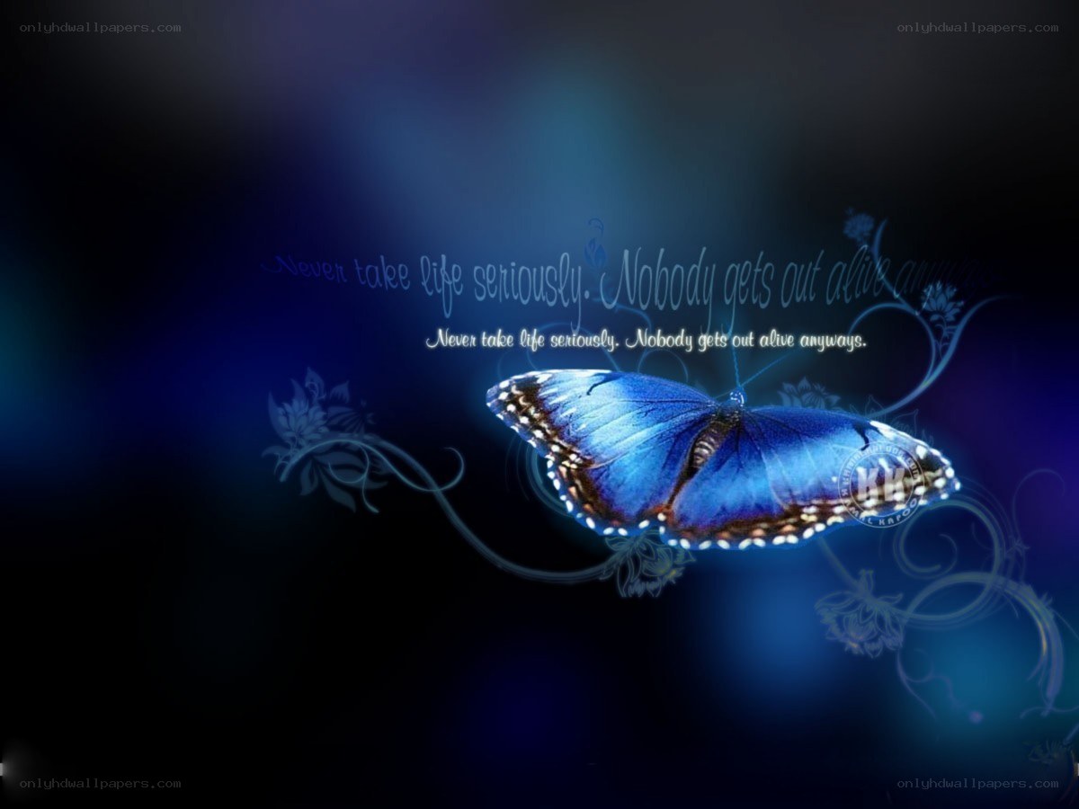 Blue butterfly with quote