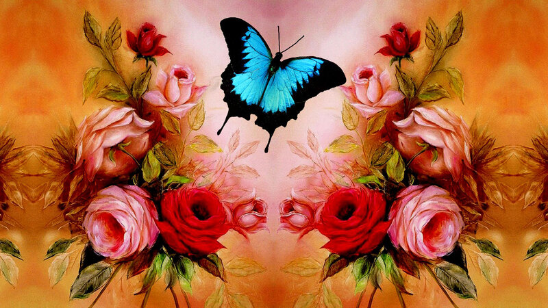 Blue Butterfly with Roses — Orange