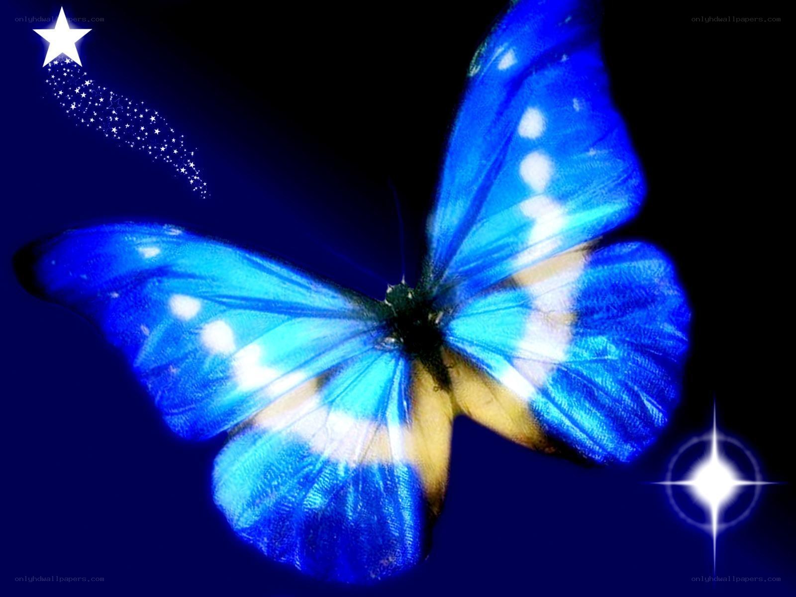 Blue butterfly with stars