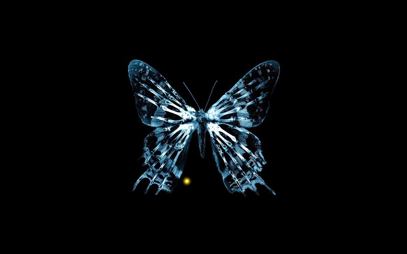 Blue Butterfly X-ray — Dramatic