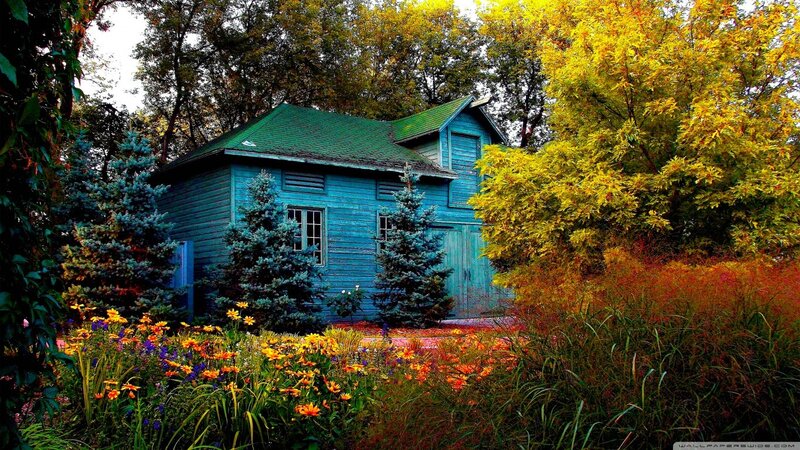 Blue Cabin in Garden — Serene