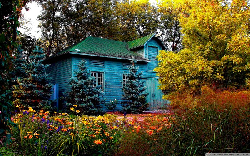 Blue Cabin in Garden