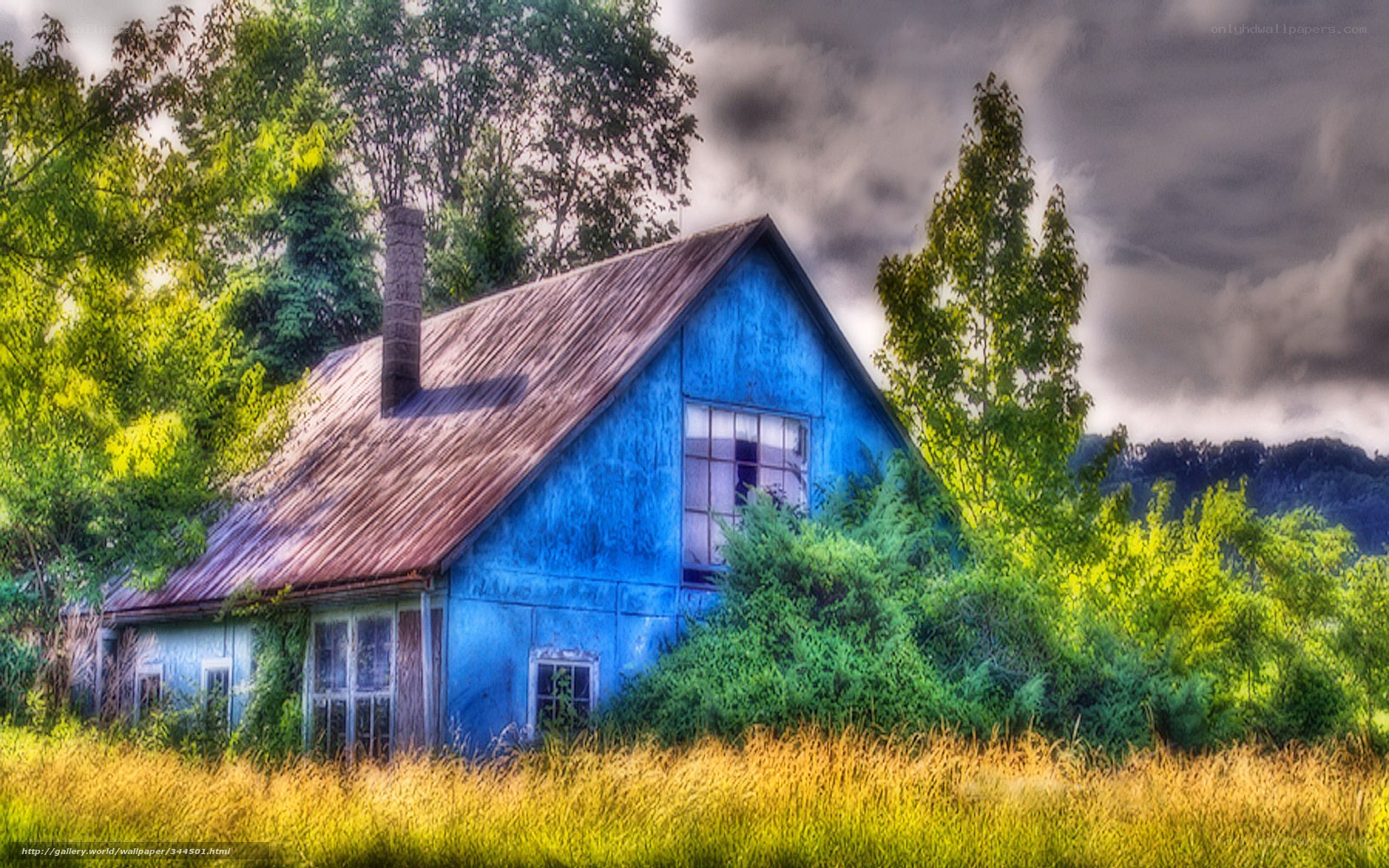 Blue cabin in overgrown field