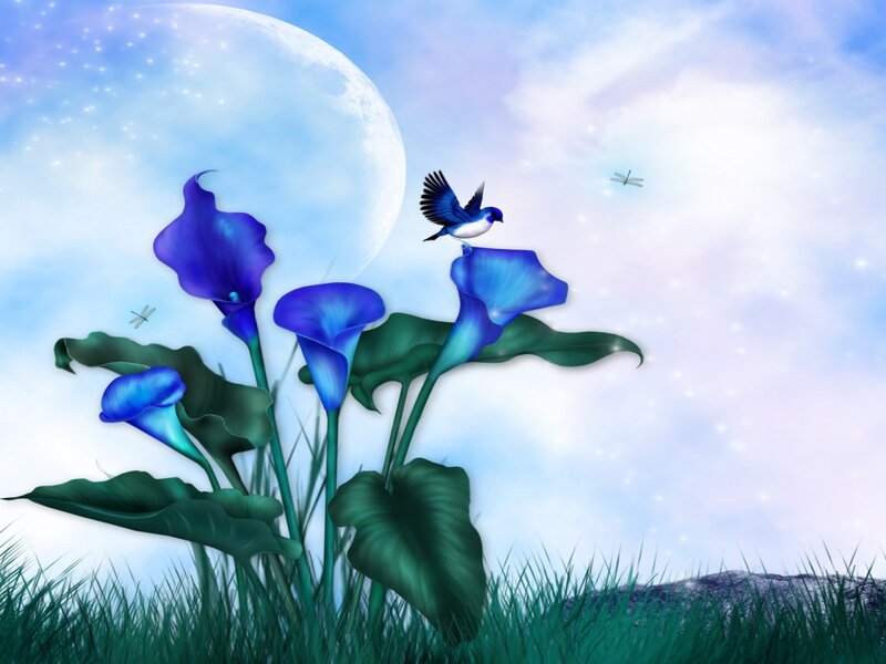 Blue Calla Lilies and Bird — Serene