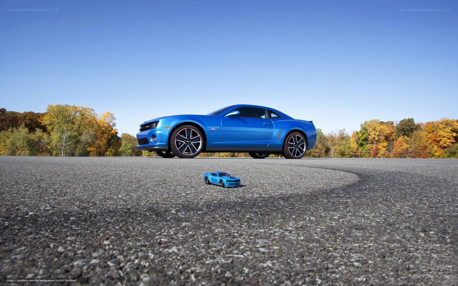 Blue Camaro and toy car