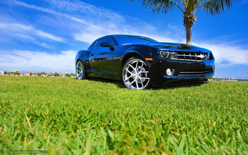 Blue Camaro on a grassy field