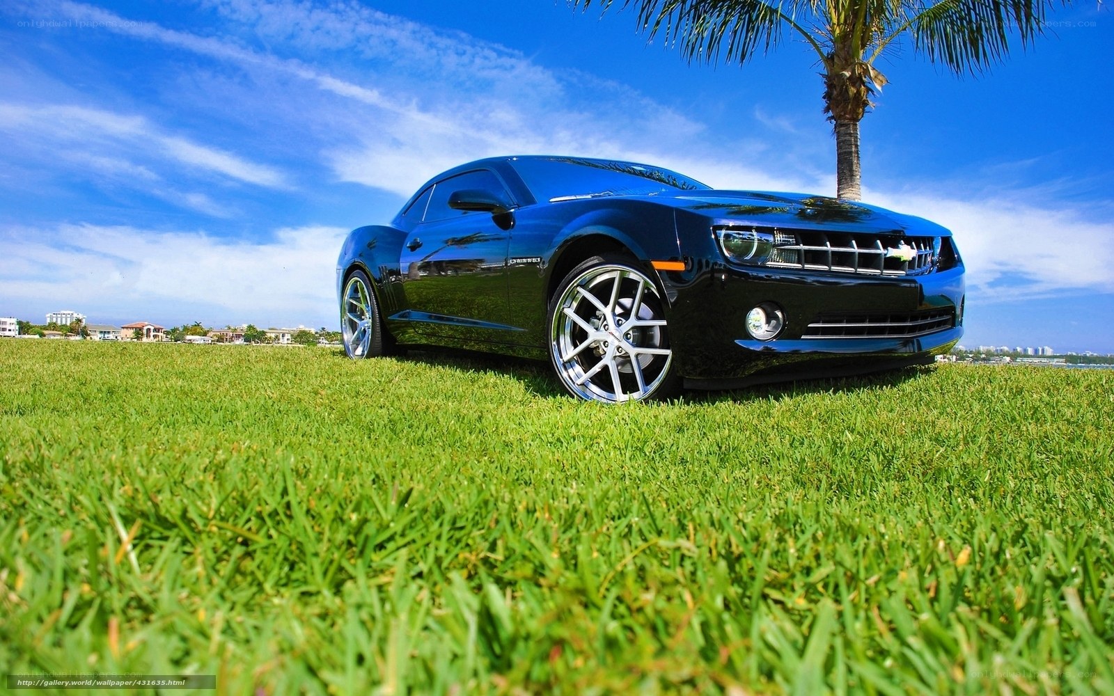Blue Camaro on a grassy field