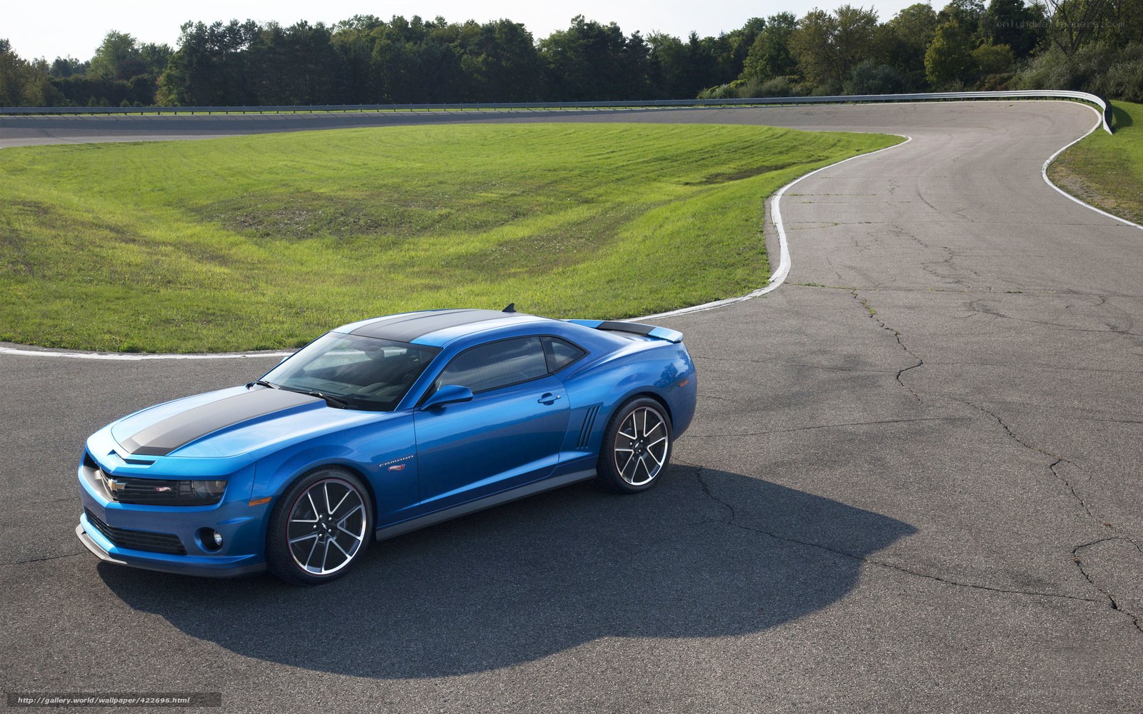 blue camaro on racetrack