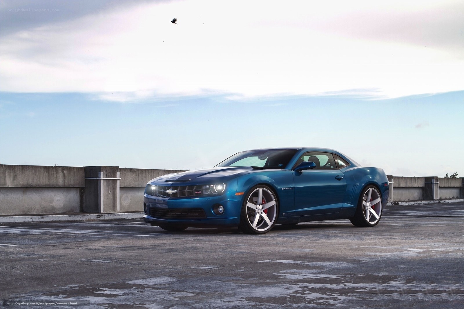 Blue Camaro on rooftop
